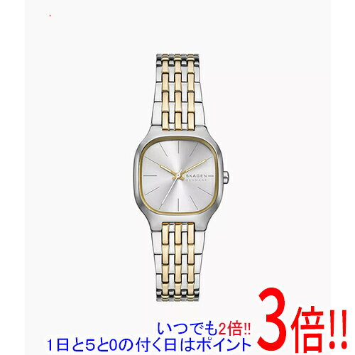 スカーゲン 腕時計 MELLEM LILLE SKW3160