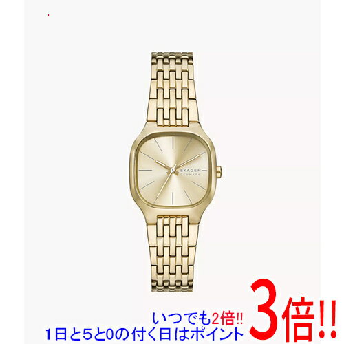 スカーゲン 腕時計 MELLEM LILLE SKW3162