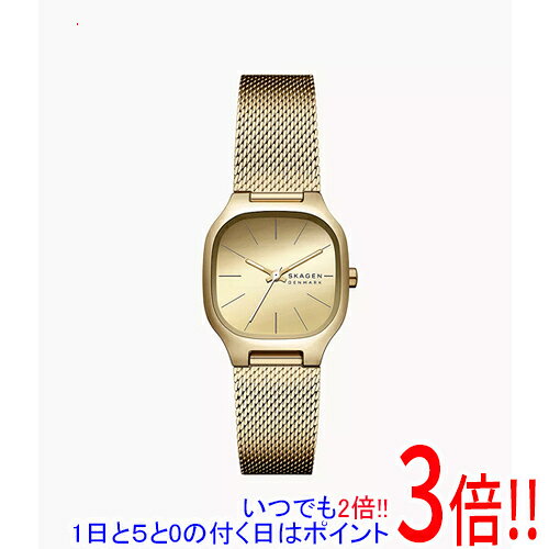 【いつでも2倍！1日と5.0のつく日、18日は3倍！】スカーゲン 腕時計 MELLEM LILLE SKW3164