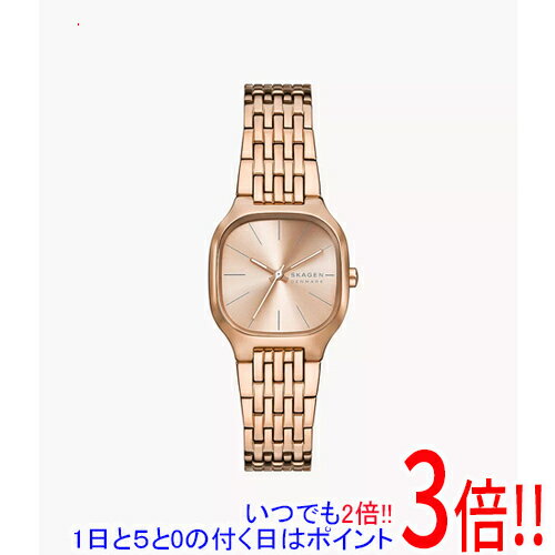 【いつでも2倍！1日と5.0のつく日、18日は3倍！】スカーゲン 腕時計 MELLEM LILLE SKW3166