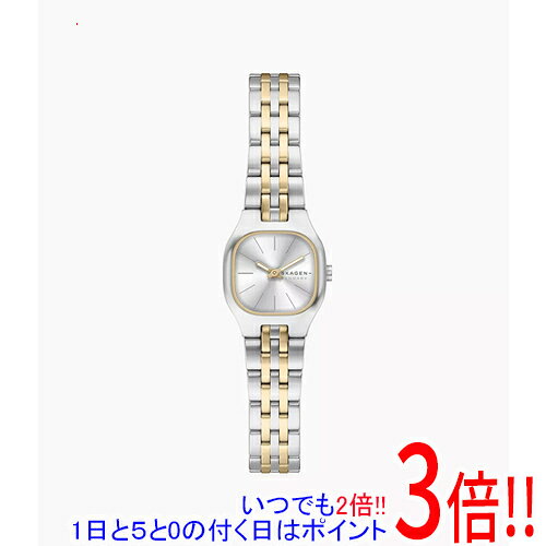 【いつでも2倍！1日と5.0のつく日、18日は3倍！】スカーゲン 腕時計 MELLEM MICRO SKW3176