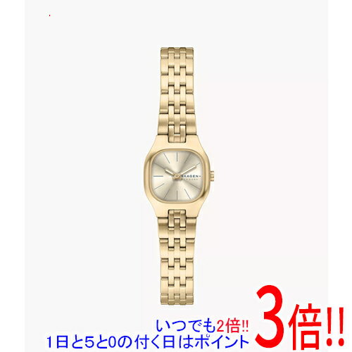 乐天商城 - 【いつでも2倍！1日と5.0のつく日、18日は3倍！】スカーゲン 腕時計 MELLEM MICRO SKW3177