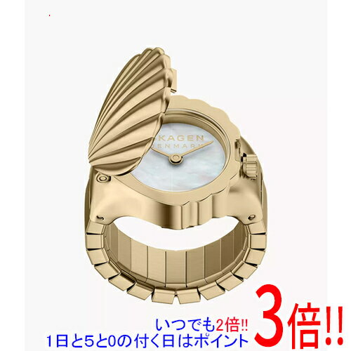 スカーゲン 指輪時計 RING WATCH SKW3180