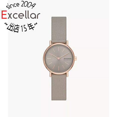 スカーゲン 腕時計 SIGNATUR LILLE SKW3060 スカーゲン 腕時計 SIGNATUR LILLE SKW3060