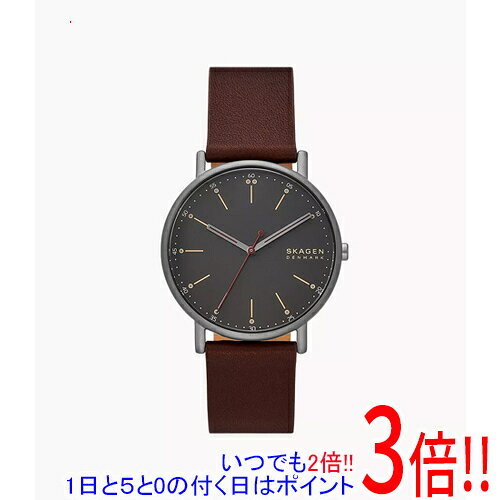 スカーゲン 腕時計 SIGNATUR SKW6860