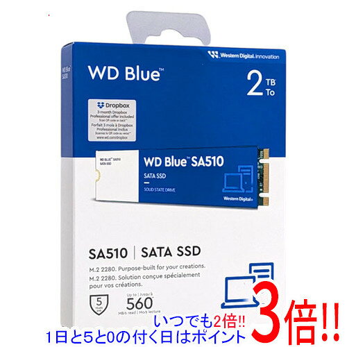 Sandisk WD Blue SA510 SATA WDS200T3B0B 2TB