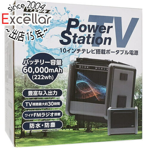 【いつでも2倍！5．0のつく日は3倍！1日も18日も3倍！】ダイニチ電子 TV/ラジオ搭載ポータブル電源 Wizz Power Station TV PSTV-600