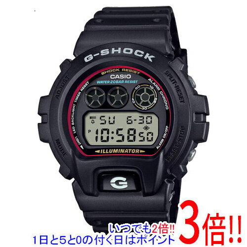 【延長保証対応!!】CASIO 腕時計 G-SHOCK DW-6900RL-1JF