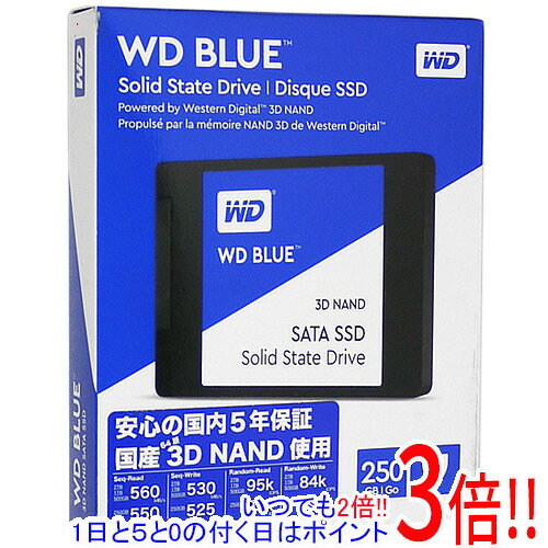 楽天市場】wd ssd 250gb（内蔵ドライブ・ストレージ｜PCパーツ