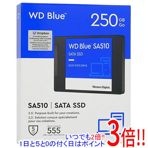 【いつでも2倍！1日と5.0のつく日、18日は3倍！】Western Digital製 SSD WD Blue SA510 SATA WDS250G3B0A 250GB