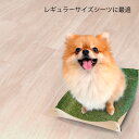 ぱちくる ペット用トイレ ペット用品 簡易トイレ 小型犬 小動物 犬 猫 持ち運び ポータブル 消臭機能つき 簡易トイレ 旅行