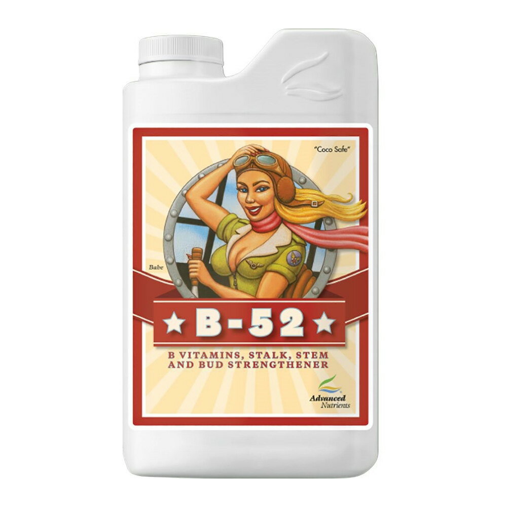 sale ӡ52 B52 10L