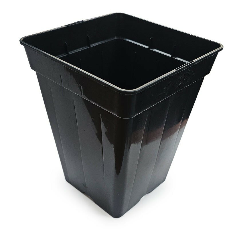 Rakuten - スクエア ポット Square pot 3.5L