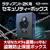 ラディアント2Kセキュリティーボックス盗難防止防錆チェーン付き防犯カメラ不法投棄害獣倉庫資材置き場駐車場ガレージ