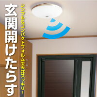 防犯カメラシーリングカメラ一斉休校休園在宅見守りカメラスマホWiFiIPカメラ玄関監視セキュリティーカメラ360度魚眼レンズ広画角赤外線カメラPIR人感センサー録画マイクロSDカード録画アラート通報ダイビーミニシーリング360