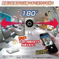 【訳あり特価・在庫限り】防犯カメラ180度見渡せるwifiスマホアプリ接続半天球ベビーモニター見守りカメラ高画質赤外線ペット留守番ワイヤレス声掛けシェアセキュリティー監視カメラ防犯赤ちゃん屋内室内小型簡単設置Dive-y180ダイビー180