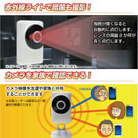 【訳あり特価・在庫限り】防犯カメラ180度見渡せるwifiスマホアプリ接続半天球ベビーモニター見守りカメラ高画質赤外線ペット留守番ワイヤレス声掛けシェアセキュリティー監視カメラ防犯赤ちゃん屋内室内小型簡単設置Dive-y180ダイビー180