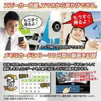 【訳あり特価・在庫限り】防犯カメラ180度見渡せるwifiスマホアプリ接続半天球ベビーモニター見守りカメラ高画質赤外線ペット留守番ワイヤレス声掛けシェアセキュリティー監視カメラ防犯赤ちゃん屋内室内小型簡単設置Dive-y180ダイビー180