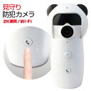 防犯カメラ 小型 遠隔 スマホ 呼び出し Wi-Fi アプリ 監視 一斉休園 休校 在宅 見守り モニタリング カメラ ペット 留守 ワイヤレス セキュリティーカメラ ベビーモニター SDカード録画 WiFi 無線 IP ネットワークカメラ LAN 対応 高画質 ダイビーコール2K