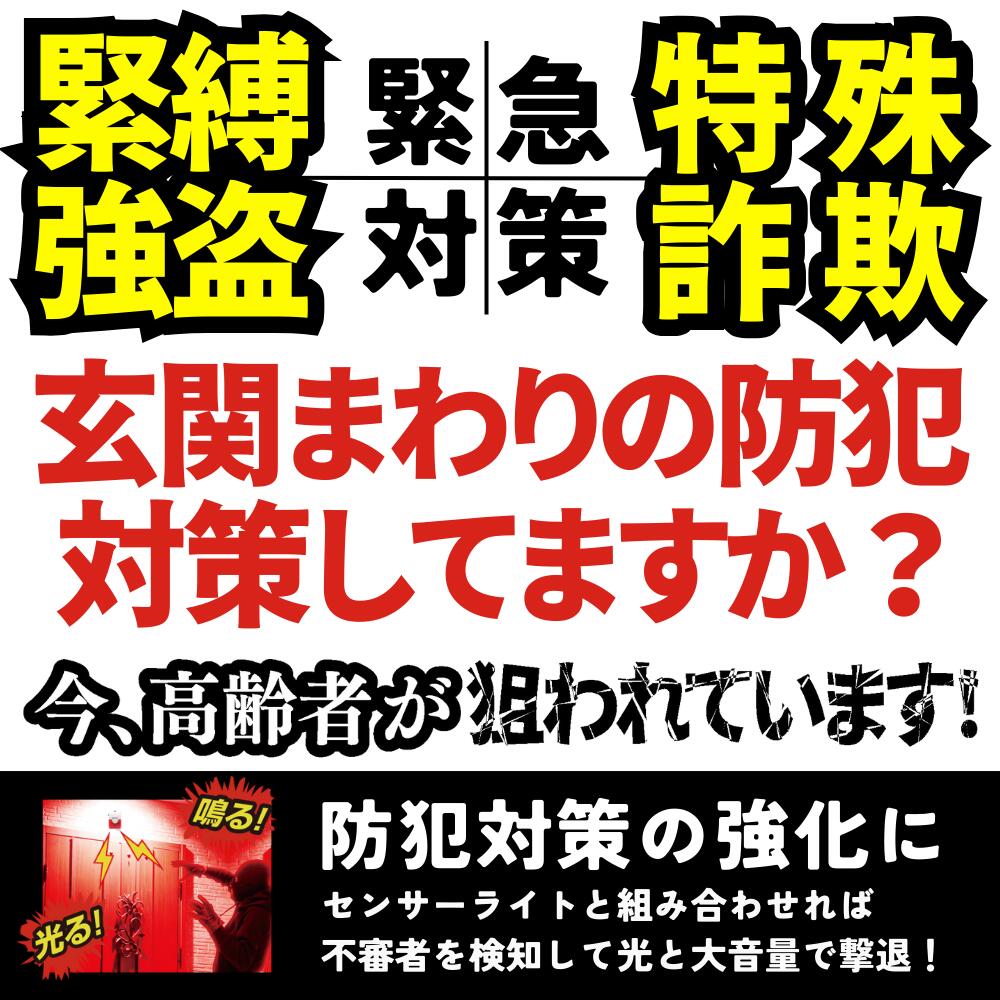 サンチャージフラッシュサイレン 警報 フラッシ...の紹介画像2