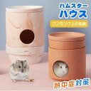 ハムスター クーラー冷却ハウス 陶器 ハムスター クーラー ハムスター 小屋 夏 暑さ対策 ひんやりハウス ひんやりプレート 冷却 涼感 保冷 小動物 ハムスター 家 天然素材 クーラー 隠れ家 冷え冷え 小動物夏用品 多機能 小動物 暑さ対策 爽やか ハムスター 巣寝場所