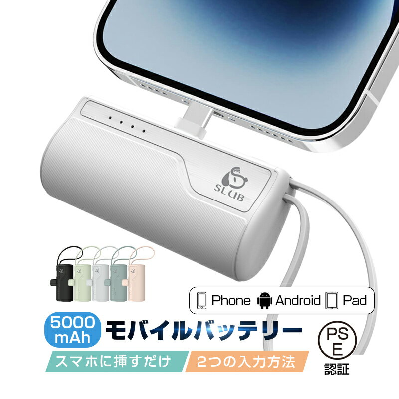 【数量限定1,780円→1380円】＼最新版・アップグレード