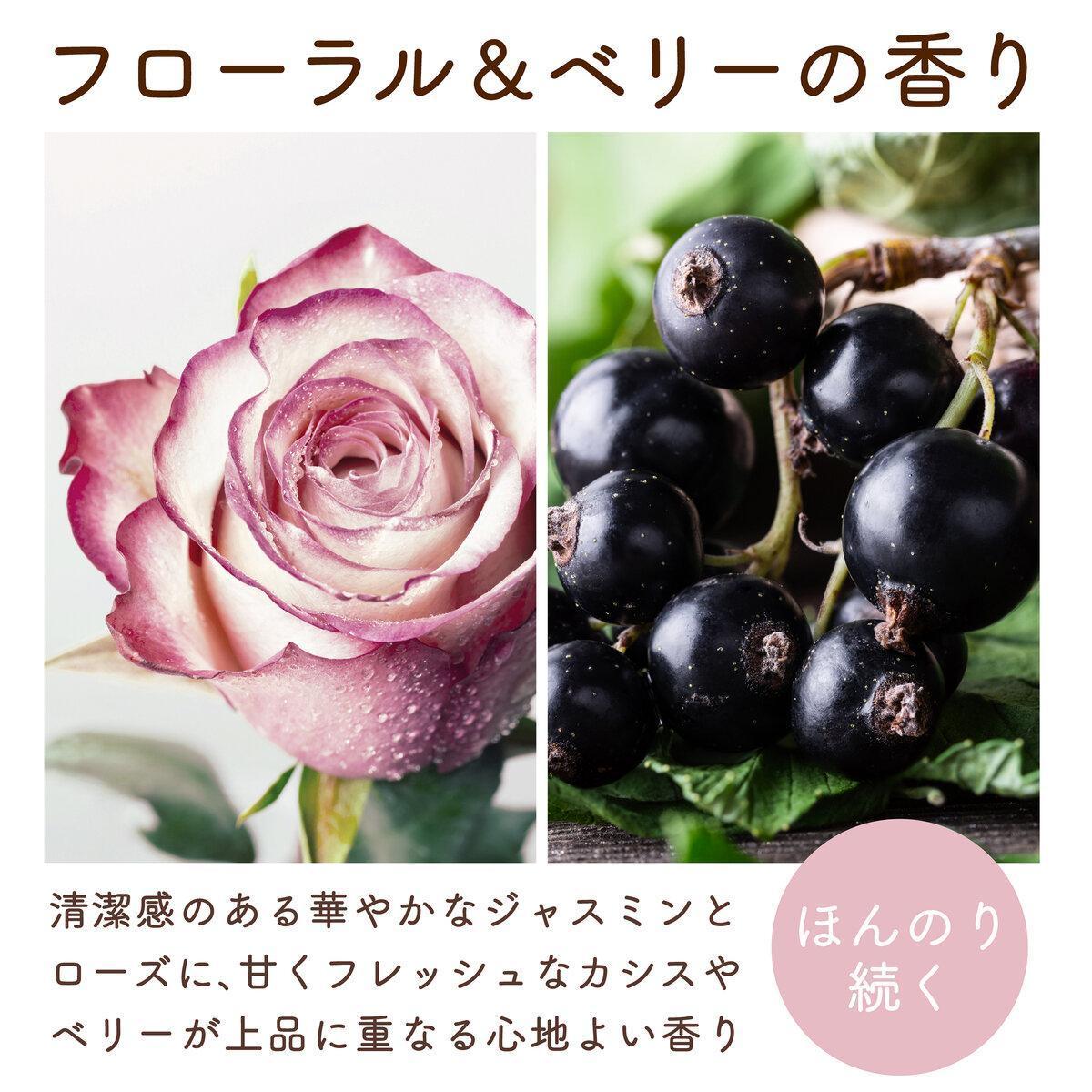 ポイント最大12倍!本日限定！ homedavinci-10015442 Homedavinci サンプル画像3