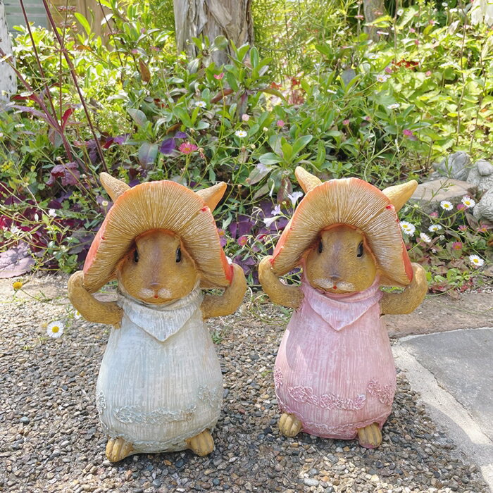 楽天市場】ウサギキノコの通販 楽天市場】ウサギキノコの通販