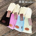 【在庫限り】【英国bradley's社製】レザーグローブ (ブラッドリーズ ブラッドリー バラ 薔薇 ガーデン手袋 ガーデングローブ ガーデニング Garden...