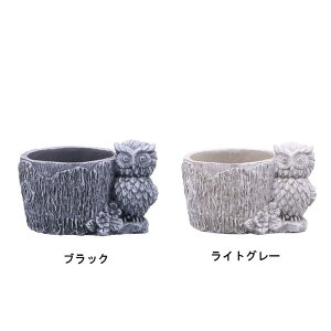【デルキ】ノーム ポット フクロウ B (ブラック:km30bk)/ (ライトグレー:km30lg)【植木鉢 鉢 アニマルポット ガーデン雑貨 ガーデニング セメントポット セメント 穴あり ポット】【インボイス対応】