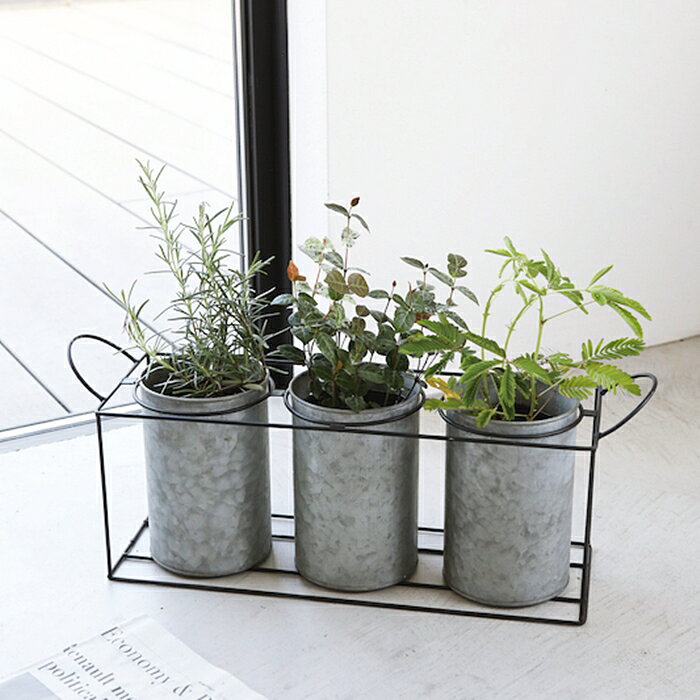 【スーパーSALE特価10％OFF】【コベントガーデン】トリプル・フレームポット bz-02【フラワーポット 観葉植物 花 ガーデニング雑貨 ナチュラル雑貨 インテリア おしゃれ アンティーク調】【インボイス対応】のサムネイル