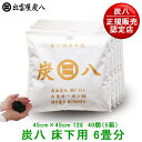 【正規販売認定店】炭八 床下用【6畳用・5箱セット】交換不要の調湿木炭。たたみもからっと爽やか【炭八 セット 除湿剤 消臭調湿剤 湿気 脱臭剤 消臭 リサイクル...