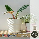 【送料無料】 POSH LIVING 植木鉢 アーバンプランツポット 4号鉢 クリーム 81137 ( ポッシュリビング 鉢植え 鉢 プランツポット グリーンポット ポット 4号 ソリッド 軽い プラスチック 植物 グリーン インテリア )