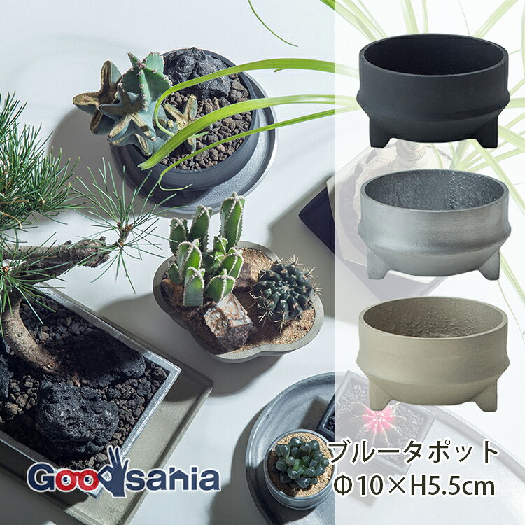 ポッシュリビング 植木鉢 ブルータポット 約φ10×H5.5cm 全3色 ( POSH LIVING 植木 ...