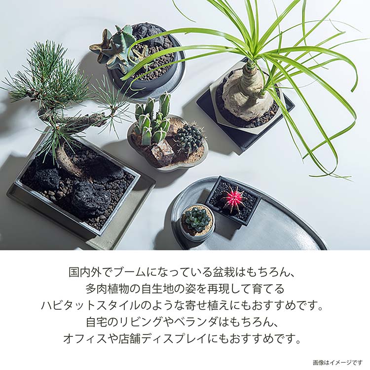 ポッシュリビング 植木鉢 ブルータポット 約φ10×H5.5cm 全3色 ( POSH LIVING 植木 ...