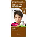 【送料無料】 LUCIDO(ルシード) ワンプッシュケアカラー ライトブラウン 100g