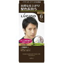 【送料無料】 ルシード ワンプッシュケアカラー 6 ダークブラウン 1剤50g・2剤50g