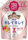 【送料無料】 キレイキレイ 薬用 泡ハンドソープ フルーツミックスの香り 詰め替え 450ml