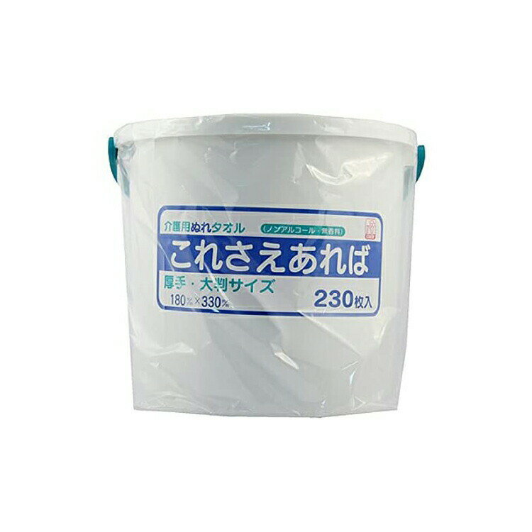 【送料無料】 介護用ぬれタオル これさえあれば 容器付 230枚入