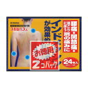 【送料無料】 【第2類医薬品】★スキルパスi 24枚×2個パック