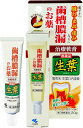 【送料無料】 【第3類医薬品】生葉口内塗薬 20g