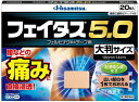 【送料無料】 【第2類医薬品】★フェイタス5.0大判 20枚