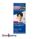 【送料無料】 メンズビゲン ワンプッシュ 6S ナチュラルシャドウ 1セット