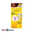 ホーユー シエロ ムースカラー 3C キャラメルブラウン 1剤50g+2剤50g