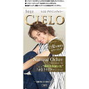 【送料無料】 シエロ デザイニングカラー ナチュラルオークル 1セット