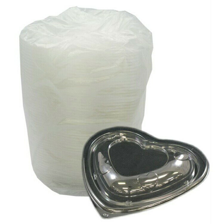 ̵  ꥹѥå  ϡȷ Хå L ե 50 ꥢ ꥢ