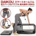 DAIKOU(ダイコー) スマートホームジム SMART HOME GYM DK-L832T