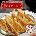 【初回限定】モチコリ食感が楽しい讃岐おやどり餃子8個入り1パック（1～2人前) 餃子 ぎょうざ ギョウザ ギョーザ 送料無料 お試し 少量 冷凍餃子 生餃子 野菜 ぎょうざ 厚皮 羽根 羽 羽付き 国産 点心 中華 焼き方 小分け 簡単 おかず 弁当 キャベツ 鶏肉 ひき肉 1