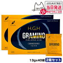 【正規品 2個セット】H.G.H GRAMINO アミノ酸 トイーワンズ 13g×40包 HGH SUPER BLACK LABEL hgh HGH エイチジー...