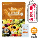 【国内正規品】万田酵素 ペーストタイプ ジンジャー GINGER 分包 77.5g (2.5g×31包) GINGER 自然発酵食品 植物発酵 酵素サプリ 発酵酵素 健康食品 食生活 ヘルシー サプリメント 1/2/3/5個 送料無料